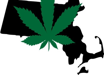 9 marijuana