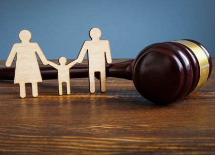 Guardianship